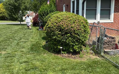 Photo of Gary W.'s yard after getting landscaping in Reading, PA