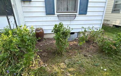 Photo of Teresa S.'s yard after getting landscaping in Unionville Center, OH