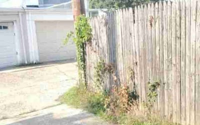 Photo of Angela C.'s yard after getting landscaping in Washington, DC