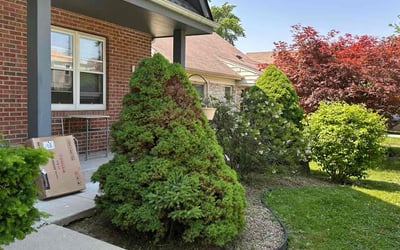 Photo of Kevin B.'s yard after getting landscaping in Milwaukee, WI