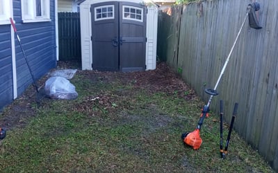 Photo of Kimberley H.'s yard after getting tree care in Mount Dora, FL