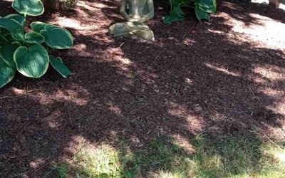 Photo of Susan H.'s yard after getting landscaping in Tacoma, WA