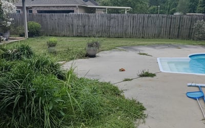 Photo of Michael C.'s yard after getting landscaping in Holden, LA