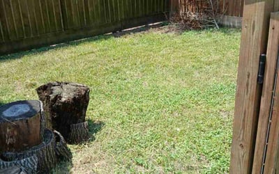 Photo of Lin Z.'s yard after getting tree care in Alvin, TX