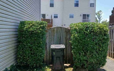 Photo of Megan K.'s yard after getting landscaping in Gainesville, VA