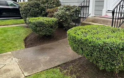 Photo of Jason D.'s yard after getting landscaping in North Dartmouth, MA