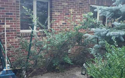Photo of Margaret Ann S.'s yard after getting lawn care in Marlton, NJ