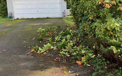 Photo of Gaylon C.'s yard after getting tree care in Cheney, WA