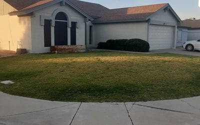 Photo of Scott M.'s yard after getting landscaping in Oracle, AZ