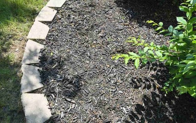 Photo of Andrea S.'s yard after getting landscaping in Roanoke, TX