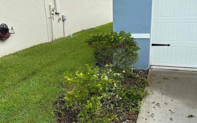 Photo of Deborah D.'s yard after getting landscaping in Kathleen, FL