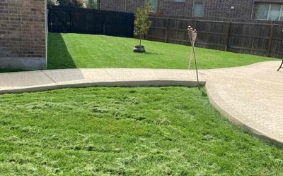 Photo of Chris J.'s yard after getting landscaping in San Antonio, TX