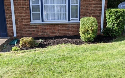 Photo of Angela W.'s yard after getting landscaping in Perry, OH