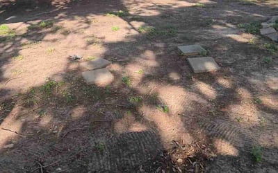 Photo of Jeremy B.'s yard after getting landscaping in Bellville, TX