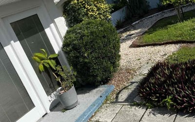 Photo of Gina B.'s yard after getting tree care in Brandon, FL