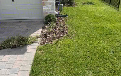 Photo of Matthew G.'s yard after getting tree care in Mascotte, FL