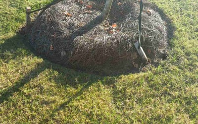 Photo of Christy B.'s yard after getting landscaping in Woodleaf, NC