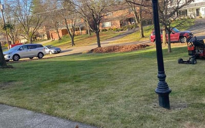 Photo of Donna C.'s yard after getting landscaping in Lawrenceburg, IN