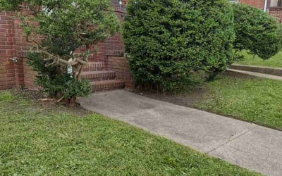 Photo of Cindy B.'s yard after getting landscaping in Malvern, PA
