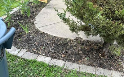 Photo of Joy M.'s yard after getting tree care in Shakopee, MN