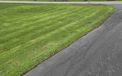 Photo of Meagan T.'s yard after getting tree care in Holmes, NY