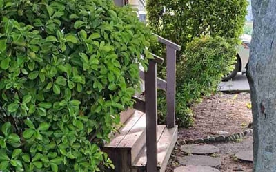 Photo of John F.'s yard after getting landscaping in Lewes, DE