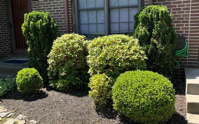 Photo of Andrew A.'s yard after getting landscaping in Harwood, MD