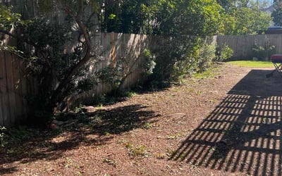 Photo of Dorothy A.'s yard after getting landscaping in Josephine, TX