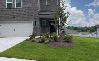 Photo of PJ M.'s yard after getting lawn care in Riverdale, GA