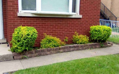 Photo of Brandon R.'s yard after getting landscaping in Melrose Park, IL