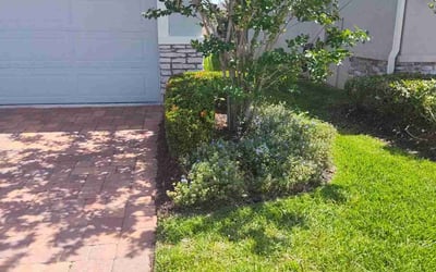 Photo of Melissa G.'s yard after getting landscaping in Mascotte, FL