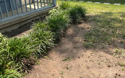Photo of Shannon M.'s yard after getting landscaping in Waldorf, MD
