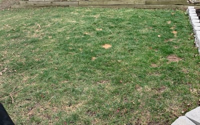 Photo of Brett S.'s yard after getting landscaping in Hastings, MI