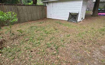 Photo of Christina H.'s yard after getting landscaping in Beaufort, SC