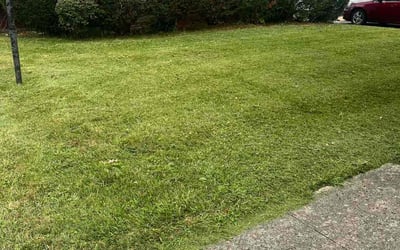 Photo of Charles T.'s yard after getting landscaping in Kilbourne, OH