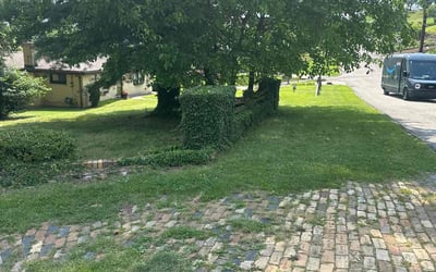Photo of Richard C.'s yard after getting tree care in Clairton, PA