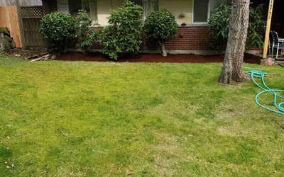 Photo of Katherine P.'s yard after getting landscaping in Darrington, WA