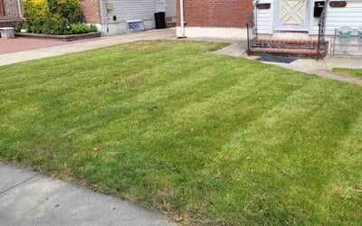 Photo of Santos L.'s yard after getting landscaping in Smithtown, NY