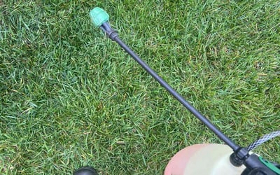 Photo of Sarah G.'s yard after getting landscaping in Morrisville, NC