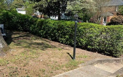 Photo of Anna S.'s yard after getting landscaping in Providence Forge, VA