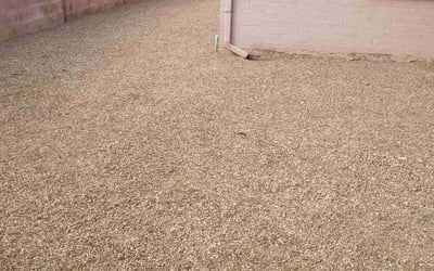 Photo of Michael C.'s yard after getting landscaping in Sun City West, AZ