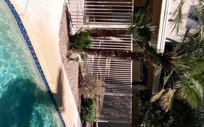 Photo of Ravi G.'s yard after getting tree care in Peoria, AZ