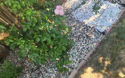 Photo of March M.'s yard after getting landscaping in Winters, CA