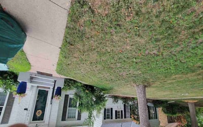 Photo of Kathleen V.'s yard after getting landscaping in Albertville, MN