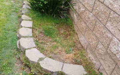 Photo of Frank T.'s yard after getting landscaping in Oceanside, CA