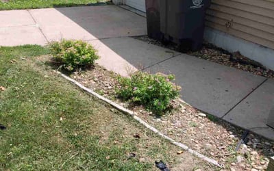 Photo of Steven W.'s yard after getting landscaping in Blair, NE