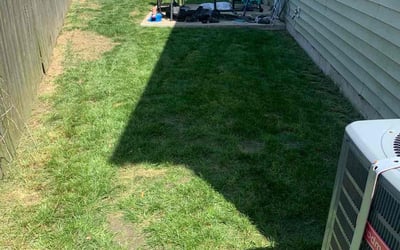 Photo of Craig M.'s yard after getting tree care in Corolla, NC