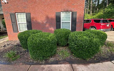 Photo of Brandon G.'s yard after getting lawn care in Griffin, GA