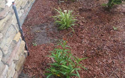 Photo of Joe T.'s yard after getting landscaping in Jacksonville, FL