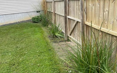 Photo of Donnie W.'s yard after getting tree care in Zebulon, NC